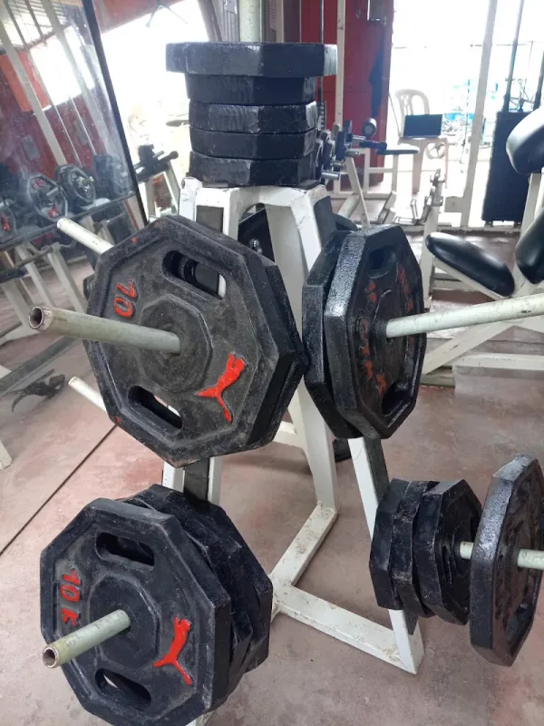 Gimnasio Go Gym