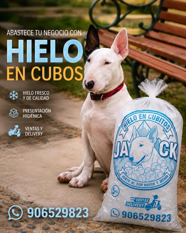 HIELO JACK