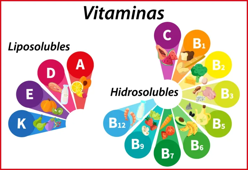 Vitaminas y minerales complemento alimenticio 60 tab