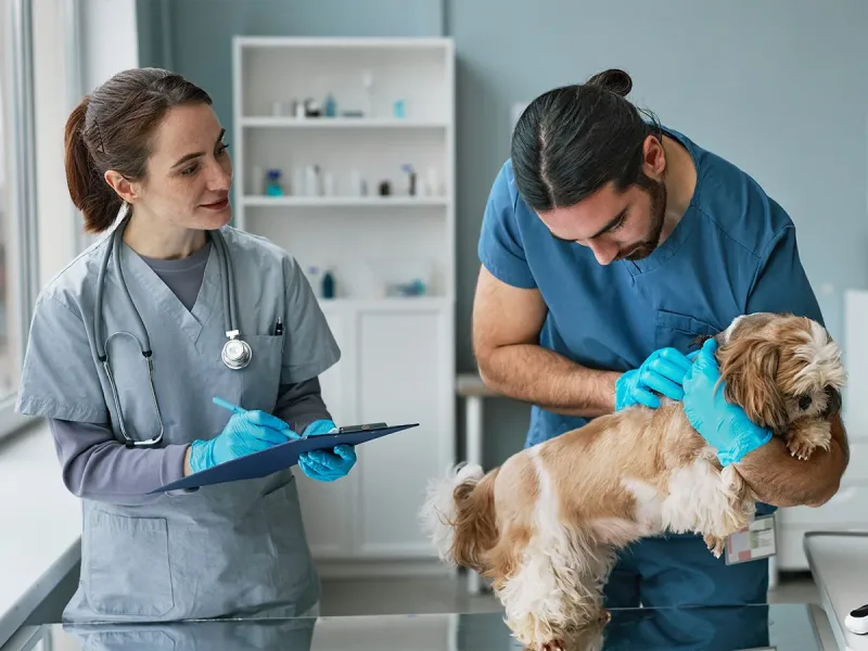 Chequeo preventivo de salud (mascotas)