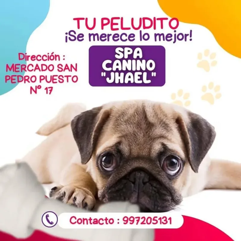 Spa Canino "Jhael" — Baño y Corte para Mascotas