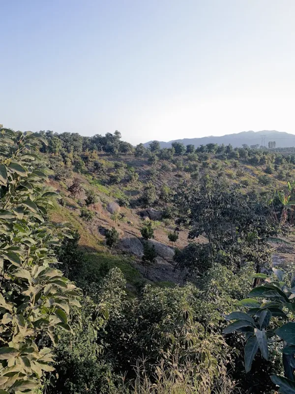 VALLE EL PROGRESO