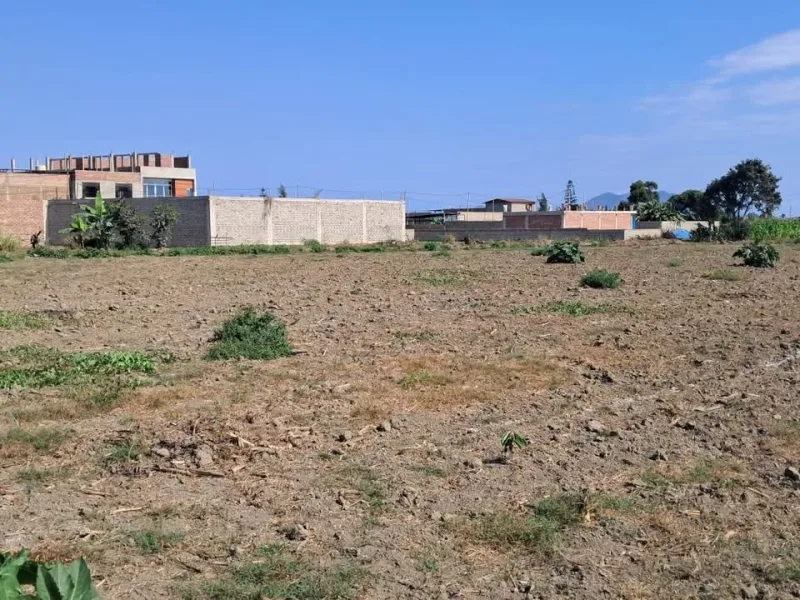 Lotes de 108 m² en El Porvenir, Chimbote